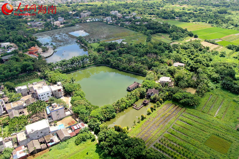 澄邁縣金江鎮(zhèn)塘口村水韻田園休閑農(nóng)莊鄉(xiāng)村旅游點。 人民網(wǎng) 孟凡盛攝